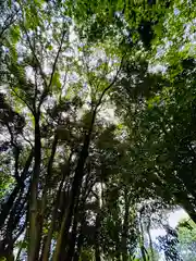 賀茂別雷神社（上賀茂神社）(京都府)