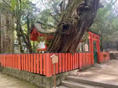 水谷神社の{uncategorized: "未分類", other: "その他", undefined: "問題あり", building: "その他建物", grave: "お墓", sacred_gate: "鳥居", guardian: "狛犬", statue: "像", buddha: "仏像", history: "歴史", nature: "自然", garden: "庭園", animal: "動物", pagoda: "塔", temizu: "手水舎", mountain_gate: "山門・神門", sanctuary: "本殿・本堂", subordinate: "末社・摂社", art: "芸術", scenery: "景色", jizo: "地蔵", ema: "絵馬", goshuin: "御朱印", omikuji: "おみくじ", items: "授与品その他", amulet: "お守り", goshuincho: "御朱印帳", eats: "食事", festival: "お祭り", votive_dance: "神楽", shichigosan: "七五三参", wedding: "結婚式", experience: "体験その他", initially: "初詣", around: "周辺", anti_infection: "感染症対策"}