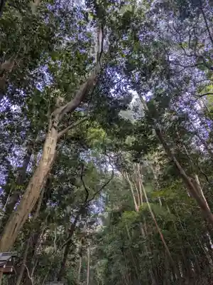 大神神社(奈良県)