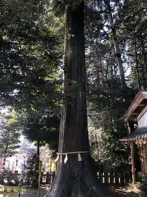 劒神社(福井県)
