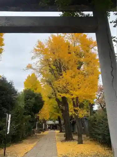 駒込天祖神社(東京都)