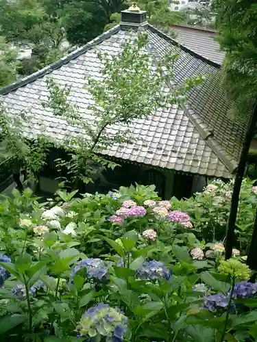 長谷寺のその他建物