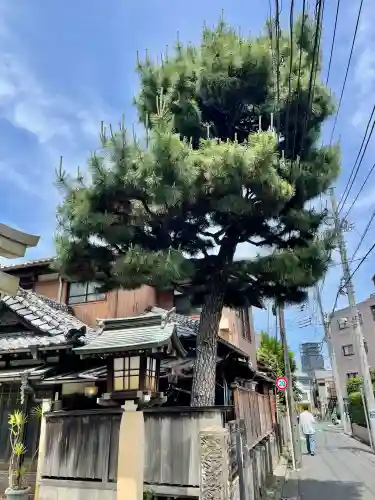 高円寺天祖神社(東京都)
