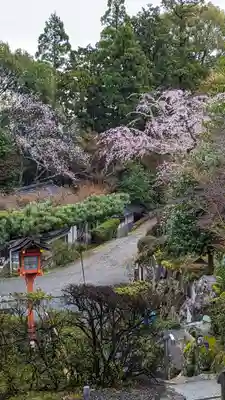 正法寺(京都府)