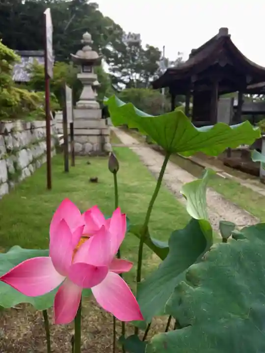 法華経寺の自然