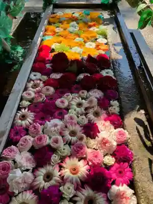 津島神社の手水舎