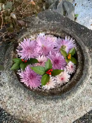 彌都加伎神社の手水舎