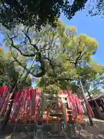 住吉大社の{uncategorized: "未分類", other: "その他", undefined: "問題あり", building: "その他建物", grave: "お墓", sacred_gate: "鳥居", guardian: "狛犬", statue: "像", buddha: "仏像", history: "歴史", nature: "自然", garden: "庭園", animal: "動物", pagoda: "塔", temizu: "手水舎", mountain_gate: "山門・神門", sanctuary: "本殿・本堂", subordinate: "末社・摂社", art: "芸術", scenery: "景色", jizo: "地蔵", ema: "絵馬", goshuin: "御朱印", omikuji: "おみくじ", items: "授与品その他", amulet: "お守り", goshuincho: "御朱印帳", eats: "食事", festival: "お祭り", votive_dance: "神楽", shichigosan: "七五三参", wedding: "結婚式", experience: "体験その他", initially: "初詣", around: "周辺", anti_infection: "感染症対策"}