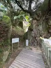 楽法寺（雨引観音）(茨城県)