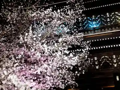 知恩院(京都府)