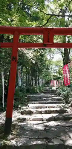 天開稲荷社の鳥居