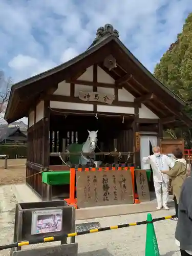 賀茂別雷神社（上賀茂神社）(京都府)