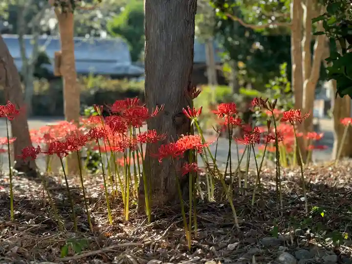 沙沙貴神社(滋賀県)