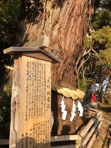 大國魂神社の自然