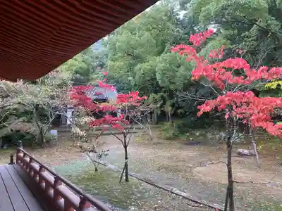 太山寺(兵庫県)
