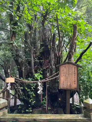 幣立神宮(熊本県)