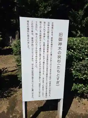 諏訪神社(東京都)