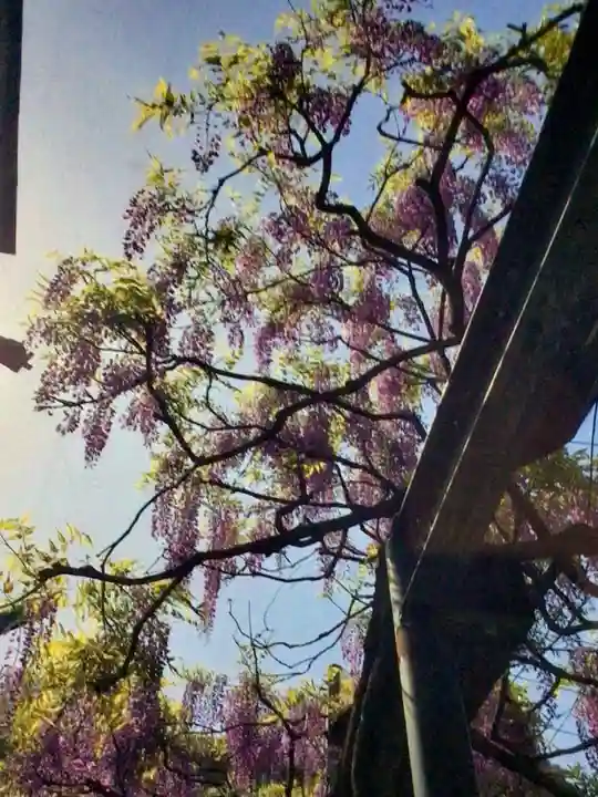 國領神社(東京都)