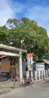 日枝神社の鳥居