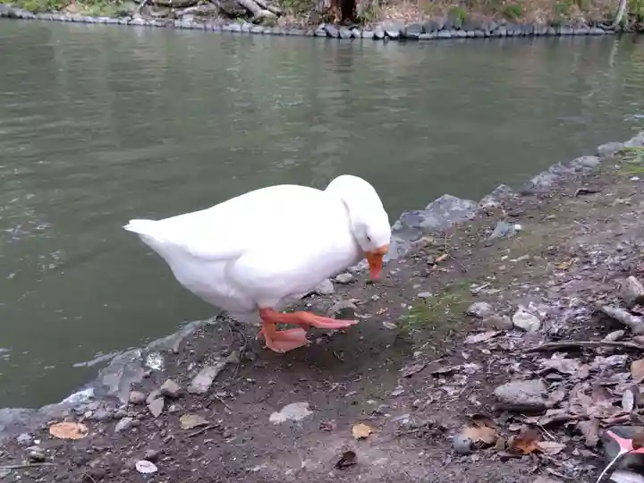 生島足島神社(長野県)