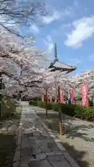 本法寺(京都府)