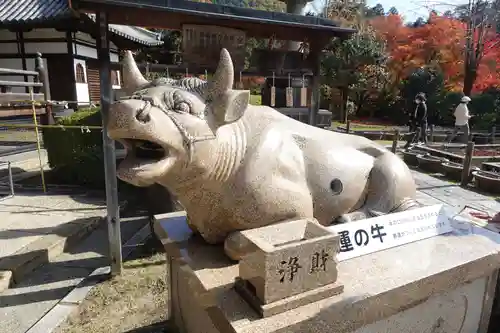 三室戸寺(京都府)
