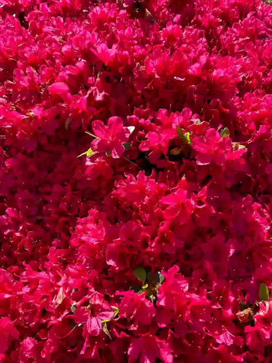 根津神社(東京都)