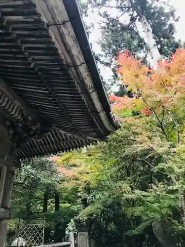 円通院の本殿・本堂