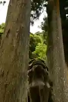 鰐淵寺(島根県)