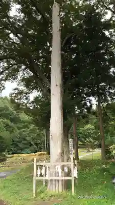 諏訪大社上社前宮のその他建物