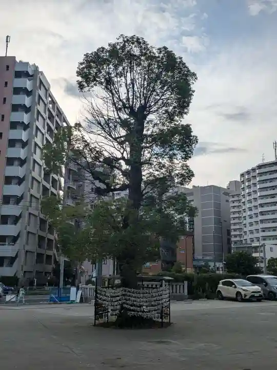 亀有香取神社(東京都)