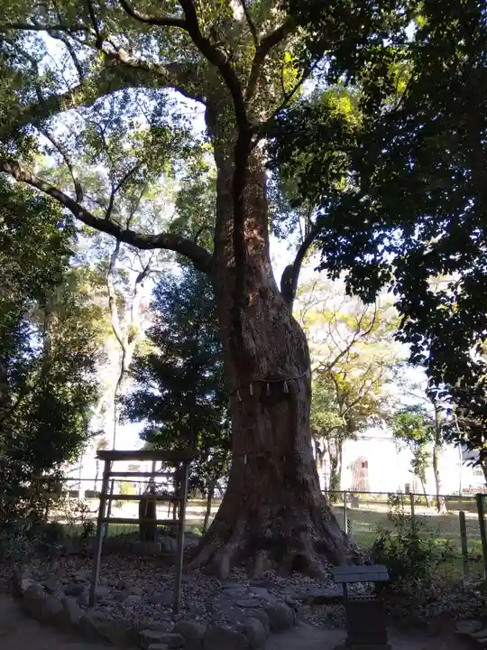 高座結御子神社(熱田神宮摂社)(愛知県)
