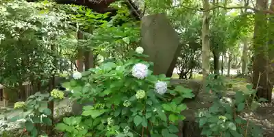 市原稲荷神社のその他建物