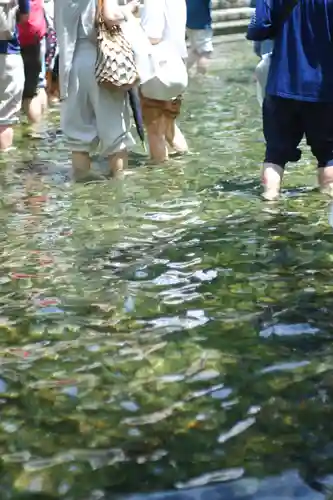 賀茂御祖神社（下鴨神社）(京都府)