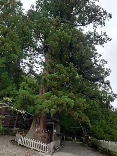 仁科神明宮(長野県)