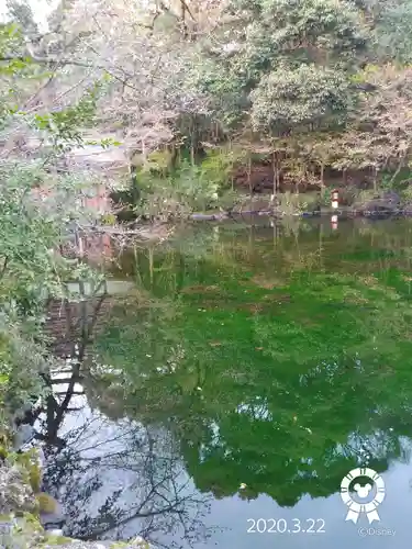 富士山本宮浅間大社の庭園