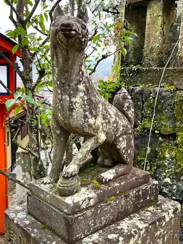 若宮稲荷神社の狛犬