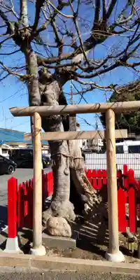 大神社(大阪府)