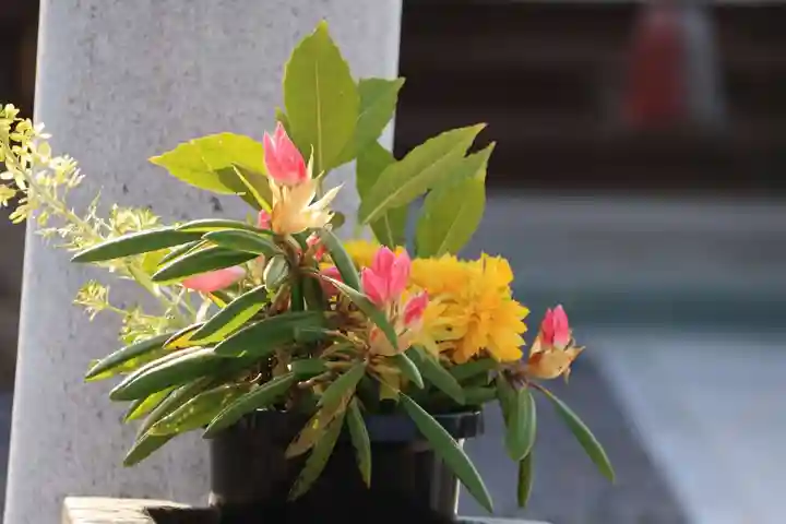 熊野福藏神社の自然