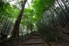 明王院の建物その他