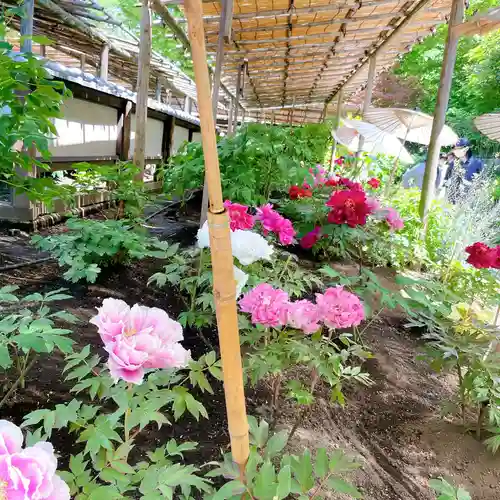 上野東照宮の庭園