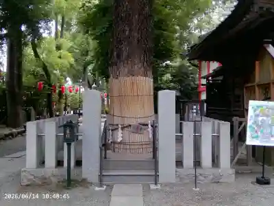 田無神社(東京都)