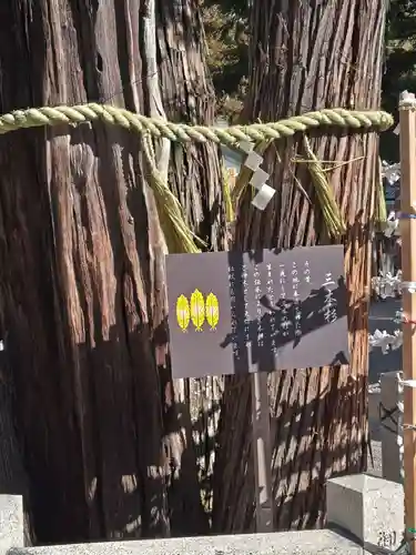 建部大社(滋賀県)