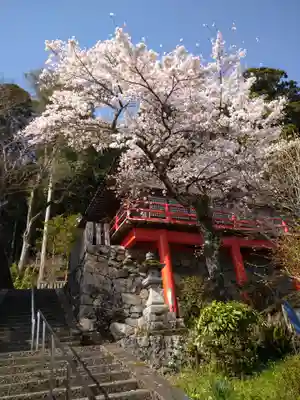 小夫天神社の自然