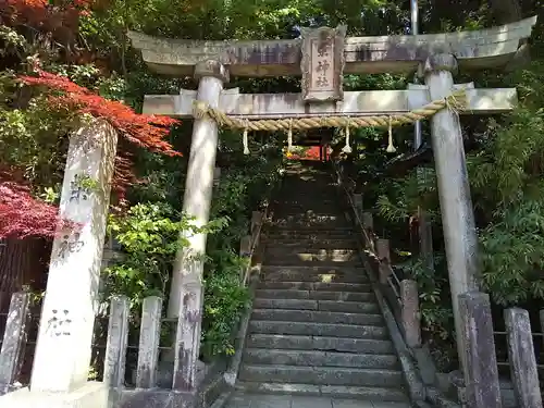 柴神社の鳥居