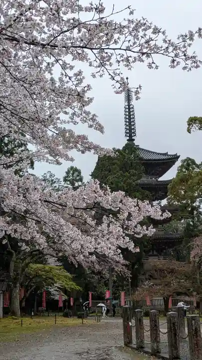醍醐寺(京都府)