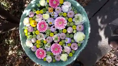 行田八幡神社の手水舎