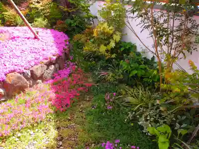 寿量山 速成寺(奈良県)