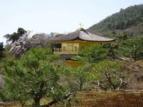 鹿苑寺（金閣寺）の庭園