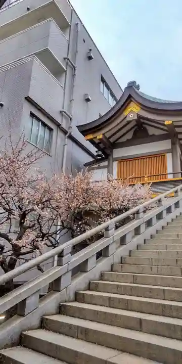 湯島天満宮(東京都)